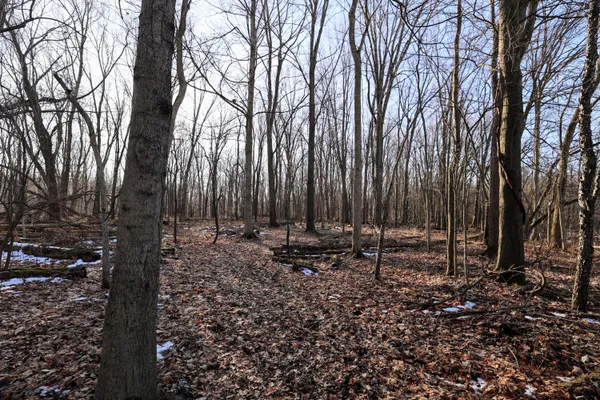 $899,000 | 1767 Flanders Road, Charlotte, MI 48813