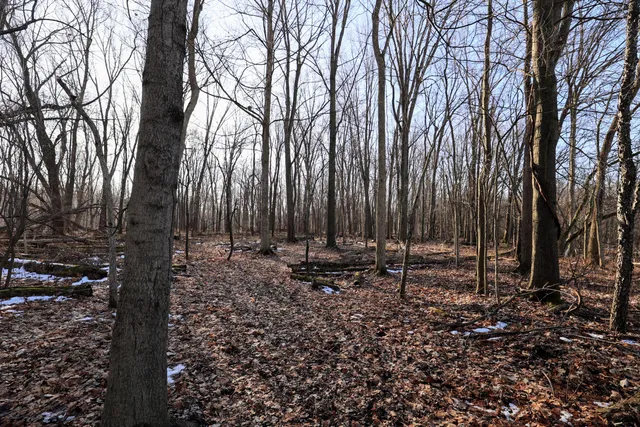 $899,000 | 1767 Flanders Road, Charlotte, MI 48813