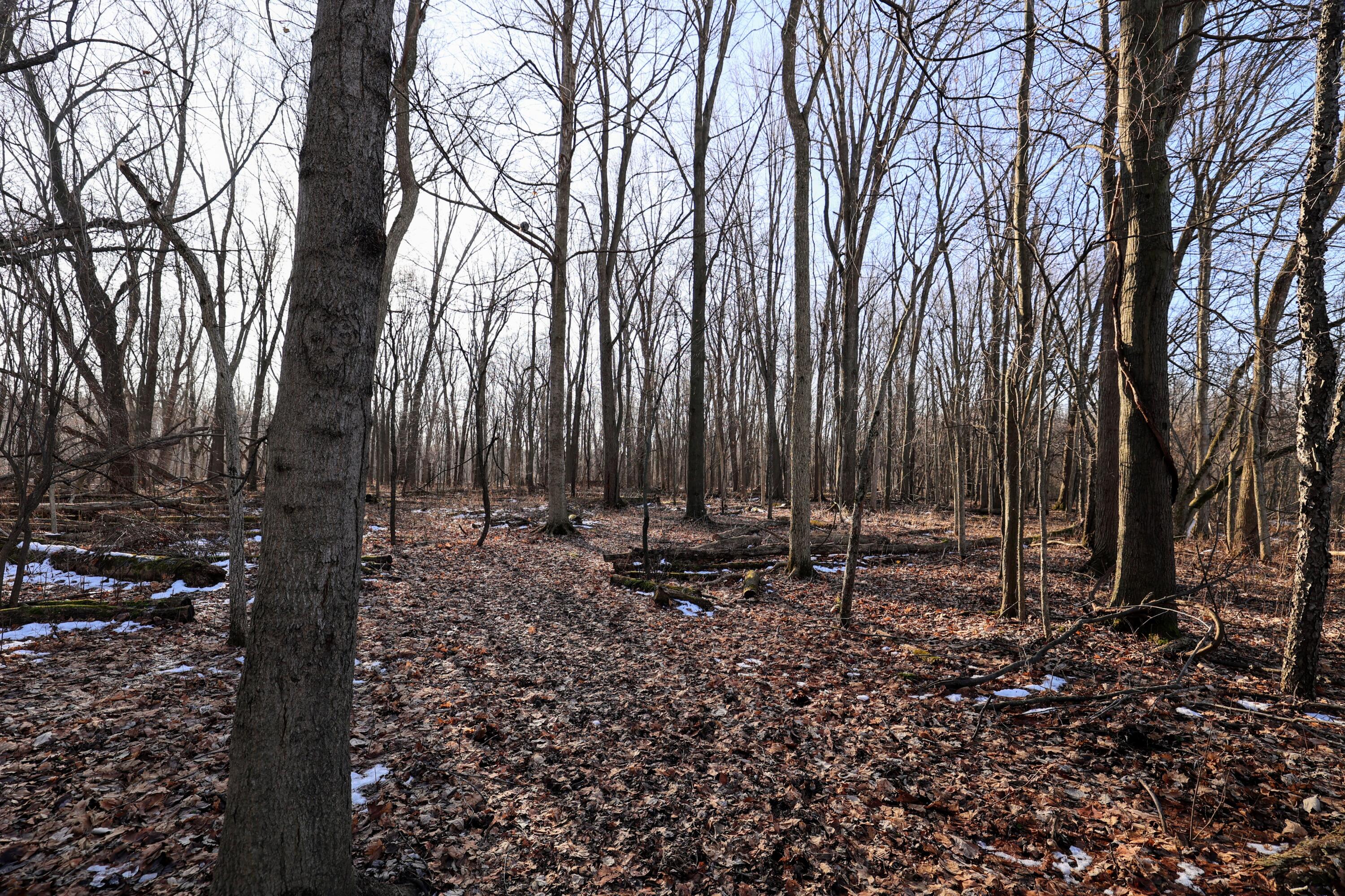 1767 Flanders Road Charlotte, MI 48813 - Photo 2 of 82 2