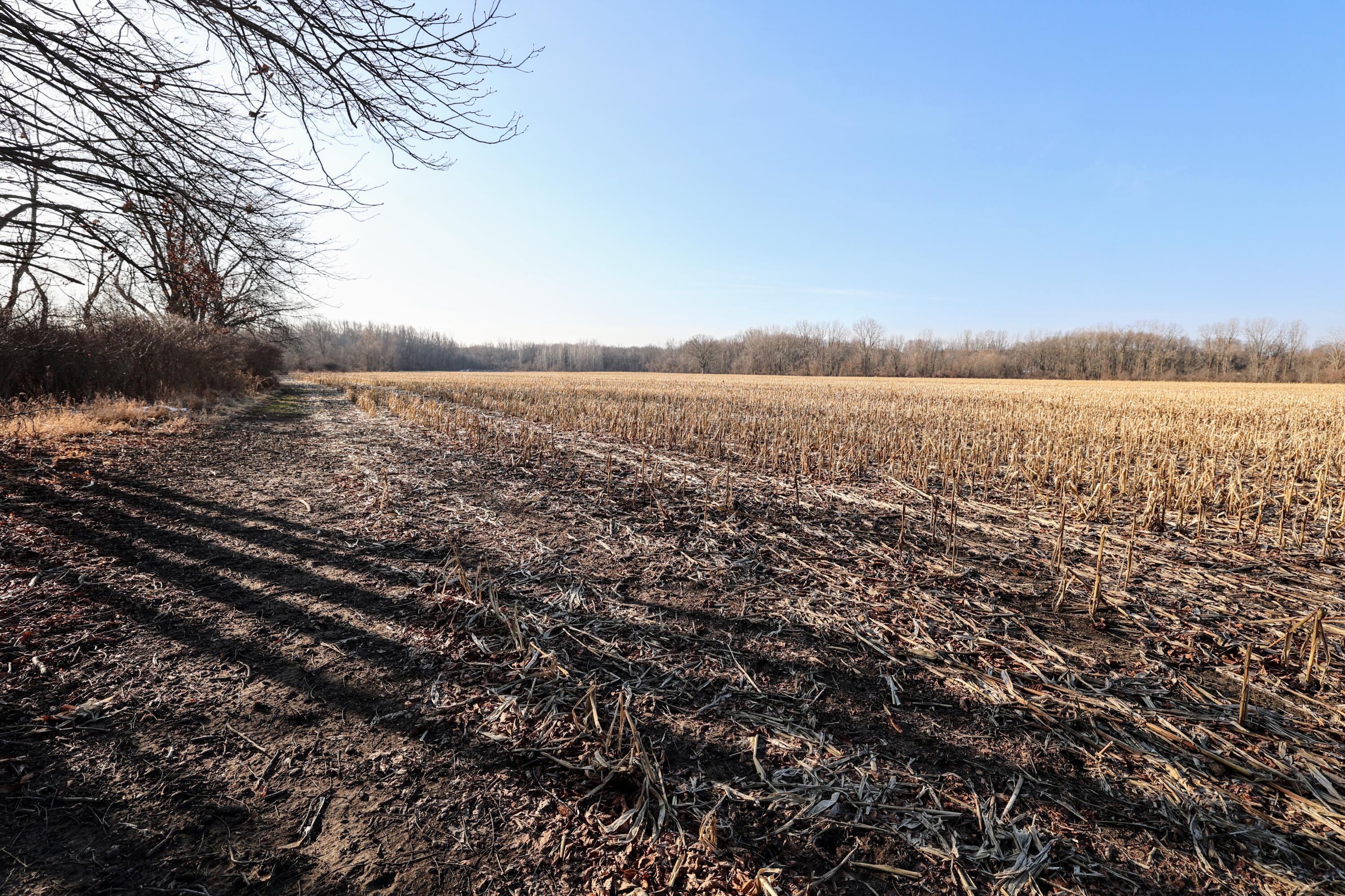 1767 Flanders Road Charlotte, MI 48813 - Photo 21 of 82 22