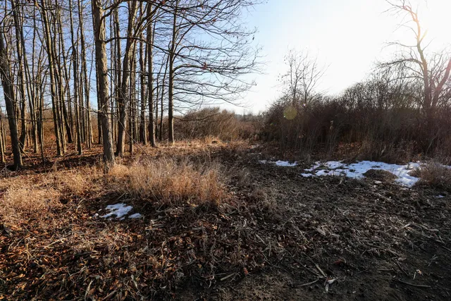 $899,000 | 1767 Flanders Road, Charlotte, MI 48813