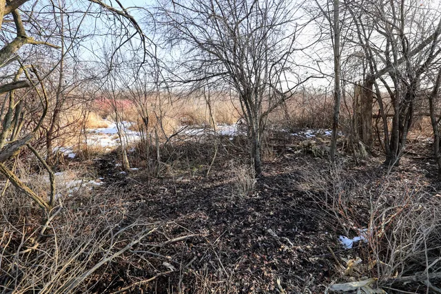 $899,000 | 1767 Flanders Road, Charlotte, MI 48813