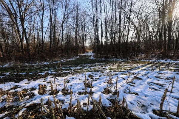 $899,000 | 1767 Flanders Road, Charlotte, MI 48813