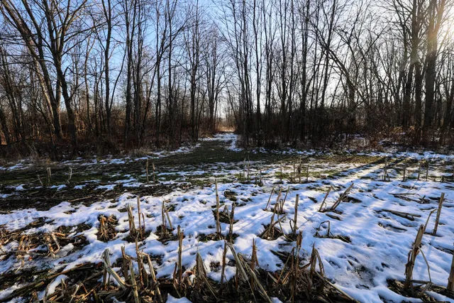 $899,000 | 1767 Flanders Road, Charlotte, MI 48813