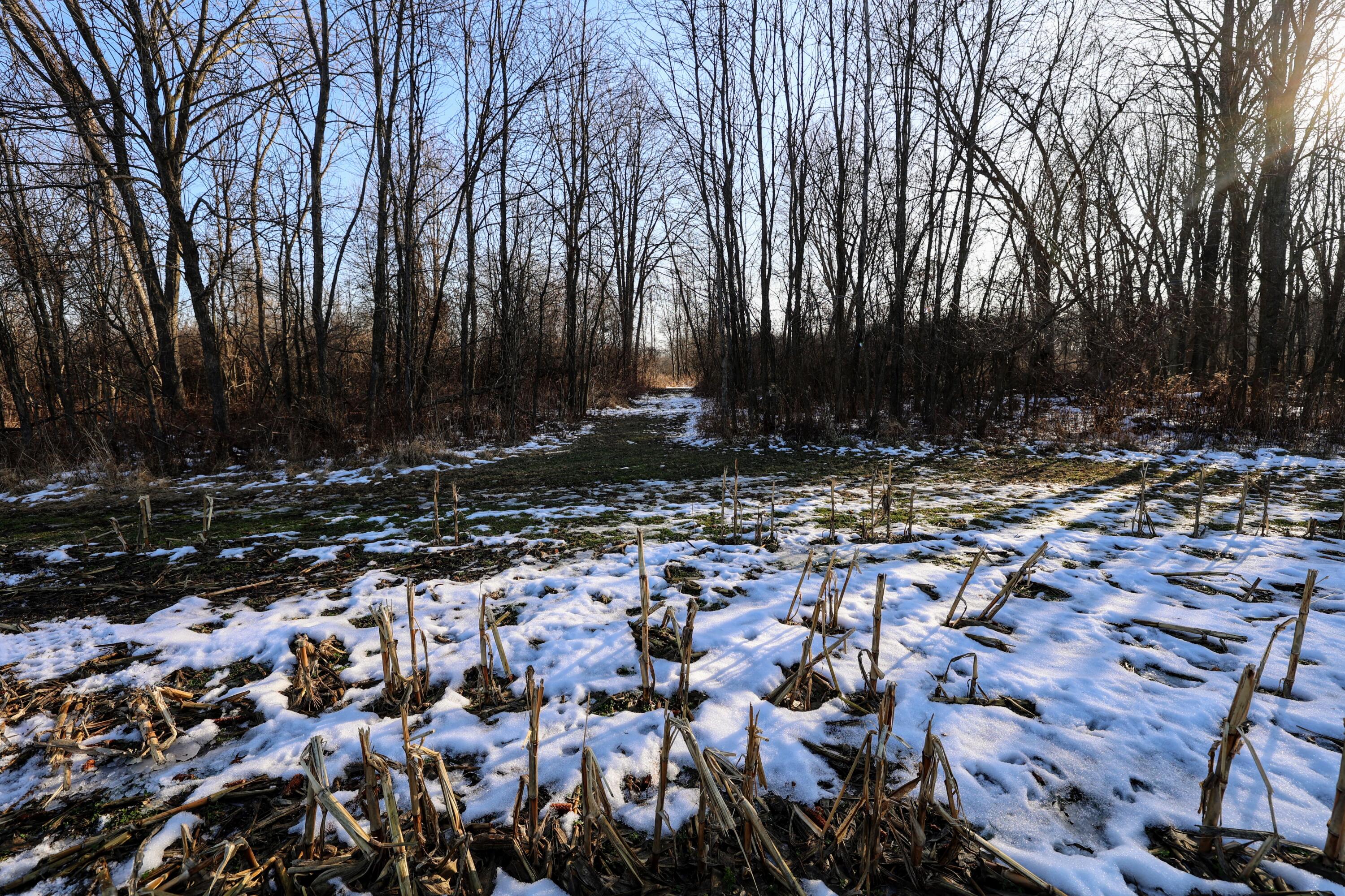 1767 Flanders Road Charlotte, MI 48813 - Photo 24 of 82 25