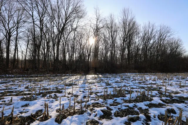 $899,000 | 1767 Flanders Road, Charlotte, MI 48813