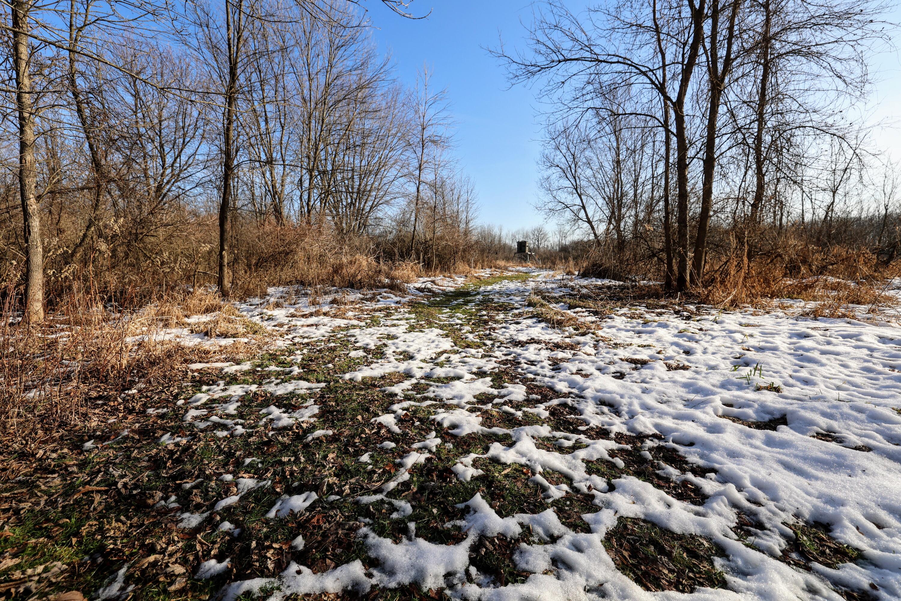 1767 Flanders Road Charlotte, MI 48813 - Photo 26 of 82 27