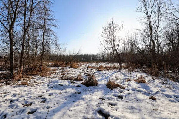 $899,000 | 1767 Flanders Road, Charlotte, MI 48813