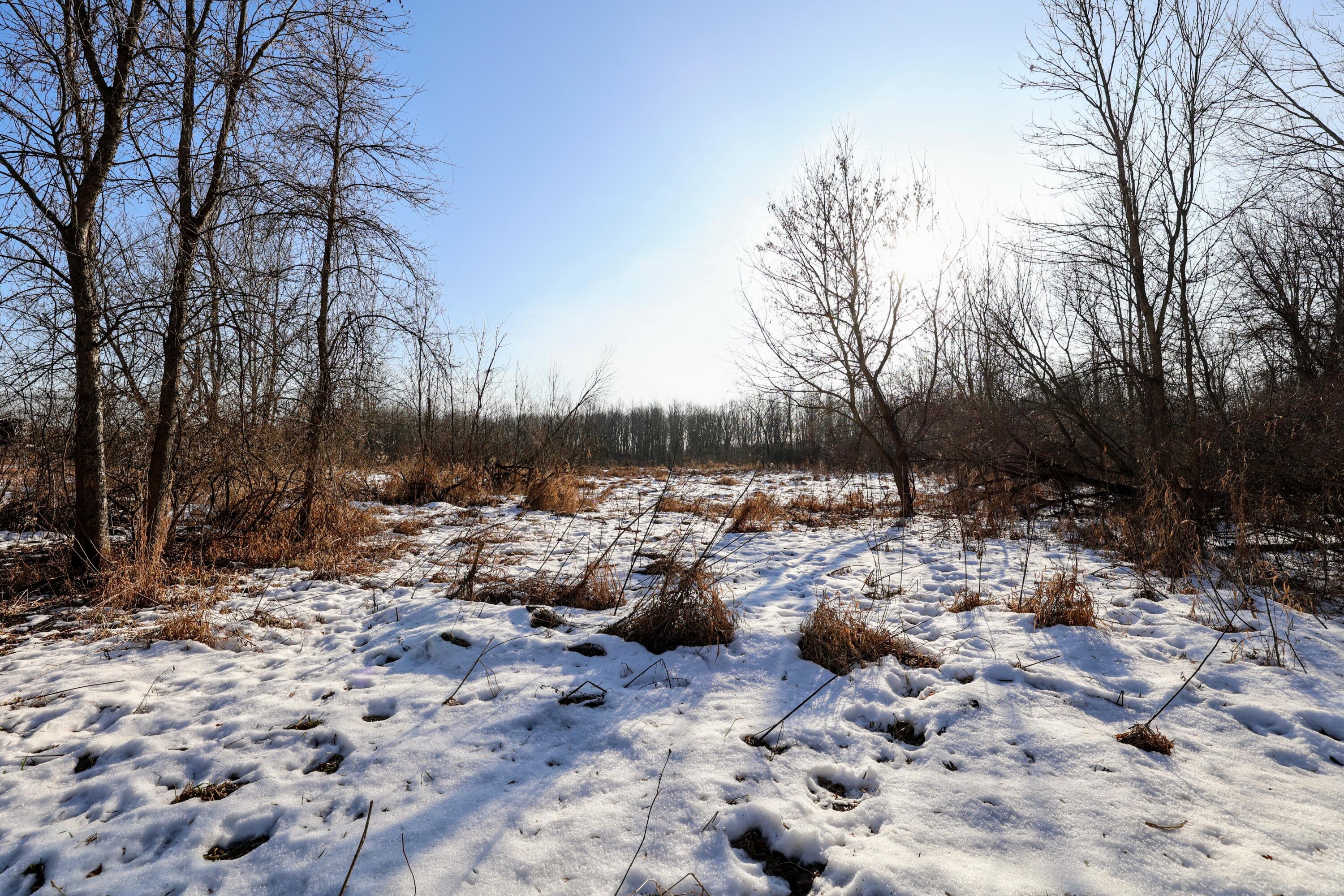 1767 Flanders Road Charlotte, MI 48813 - Photo 27 of 82 28