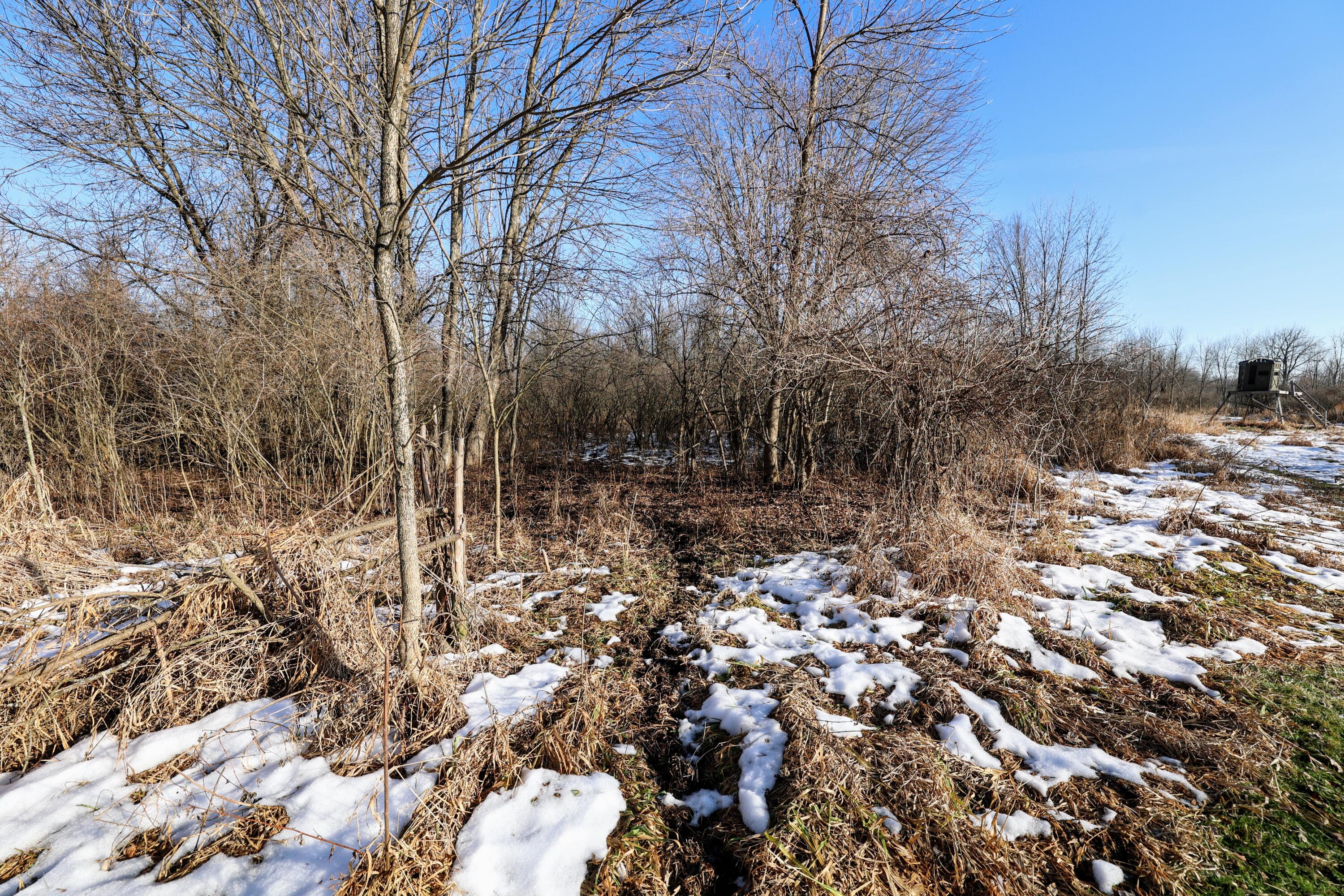 1767 Flanders Road Charlotte, MI 48813 - Photo 28 of 82 29