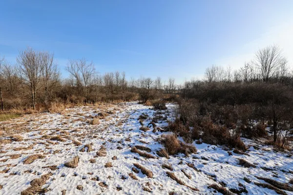 $899,000 | 1767 Flanders Road, Charlotte, MI 48813