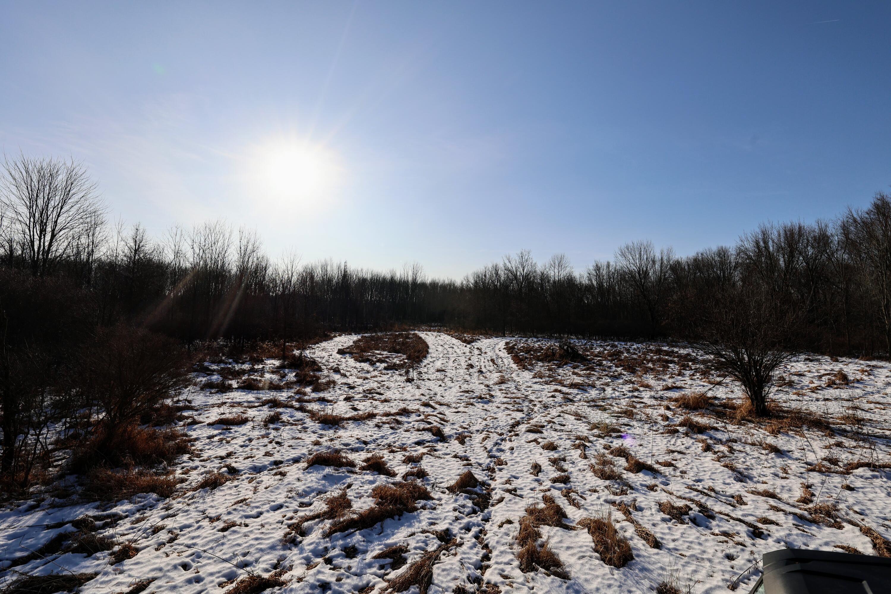 1767 Flanders Road Charlotte, MI 48813 - Photo 30 of 82 31