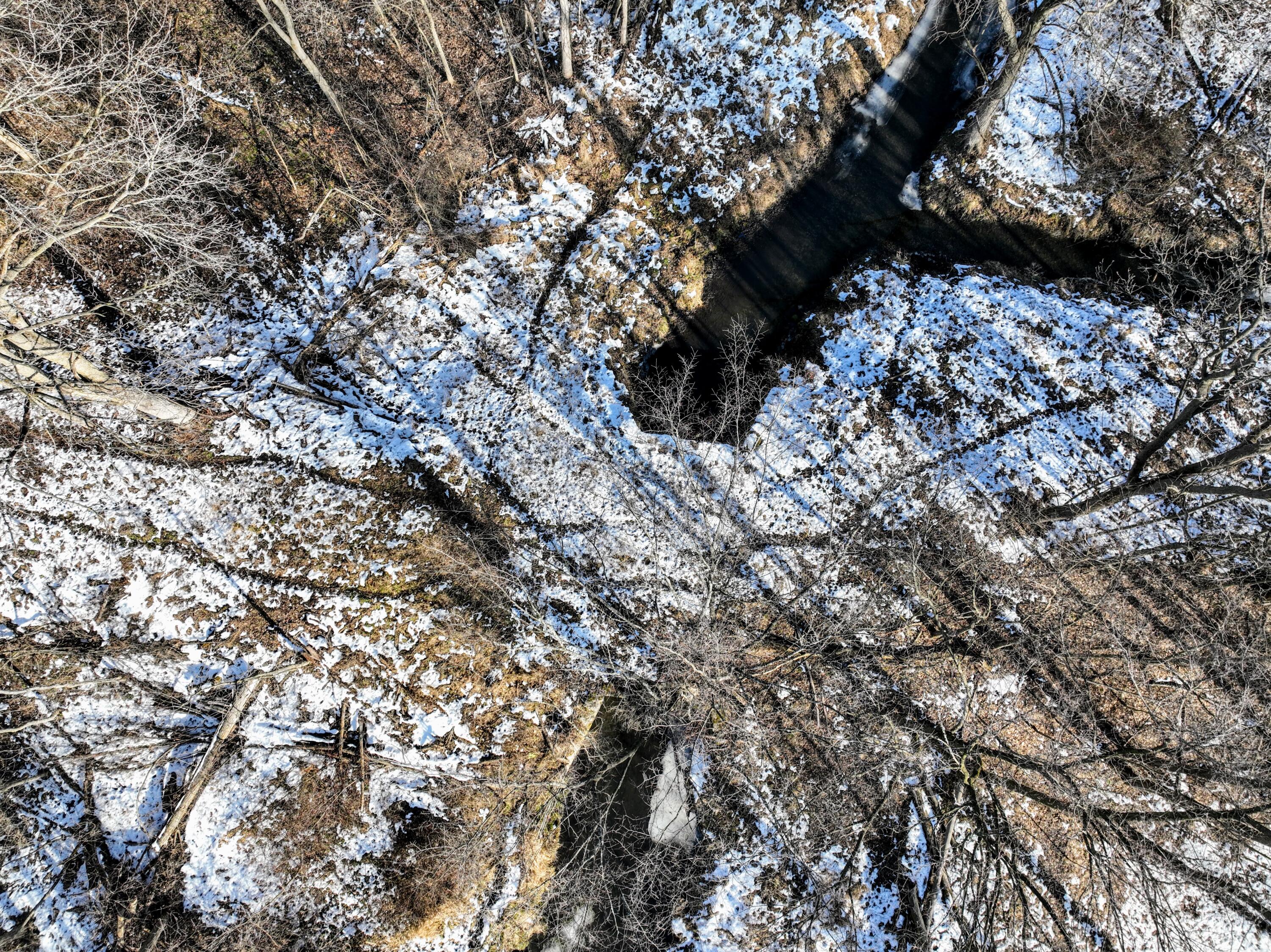 1767 Flanders Road Charlotte, MI 48813 - Photo 3 of 82 3