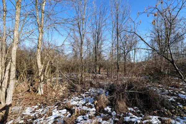 $899,000 | 1767 Flanders Road, Charlotte, MI 48813