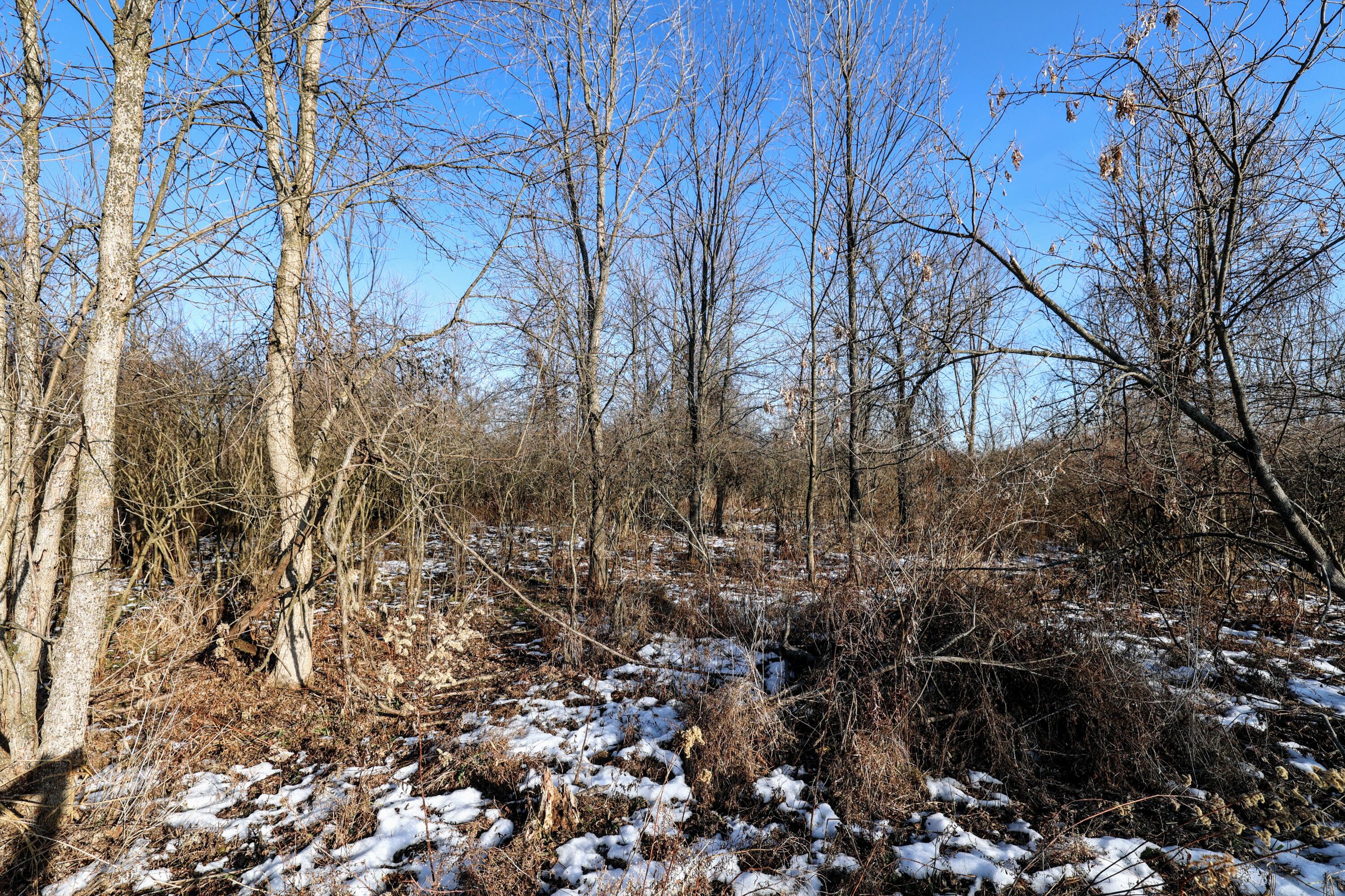 1767 Flanders Road Charlotte, MI 48813 - Photo 31 of 82 32