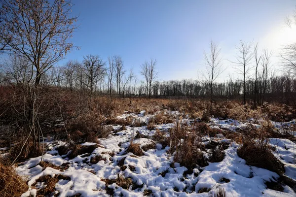 $899,000 | 1767 Flanders Road, Charlotte, MI 48813