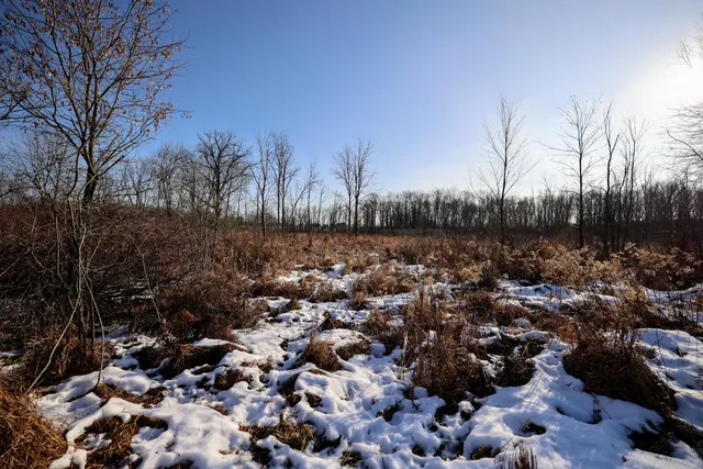 $899,000 | 1767 Flanders Road, Charlotte, MI 48813