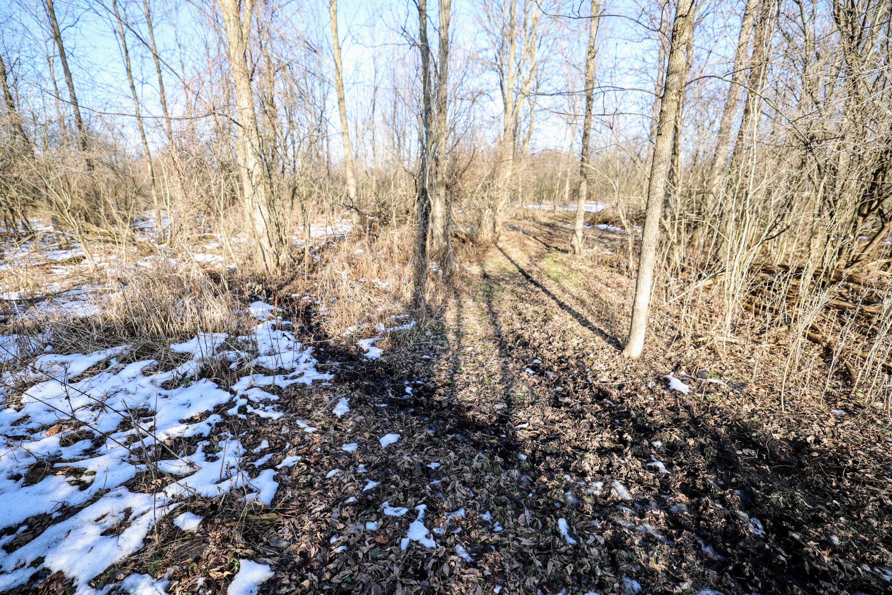 1767 Flanders Road Charlotte, MI 48813 - Photo 34 of 82 35