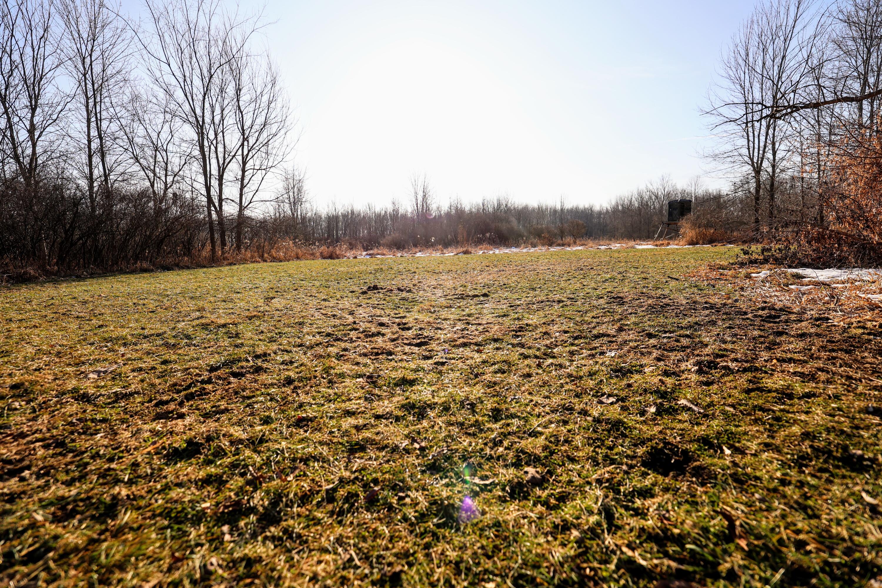 1767 Flanders Road Charlotte, MI 48813 - Photo 35 of 82 36