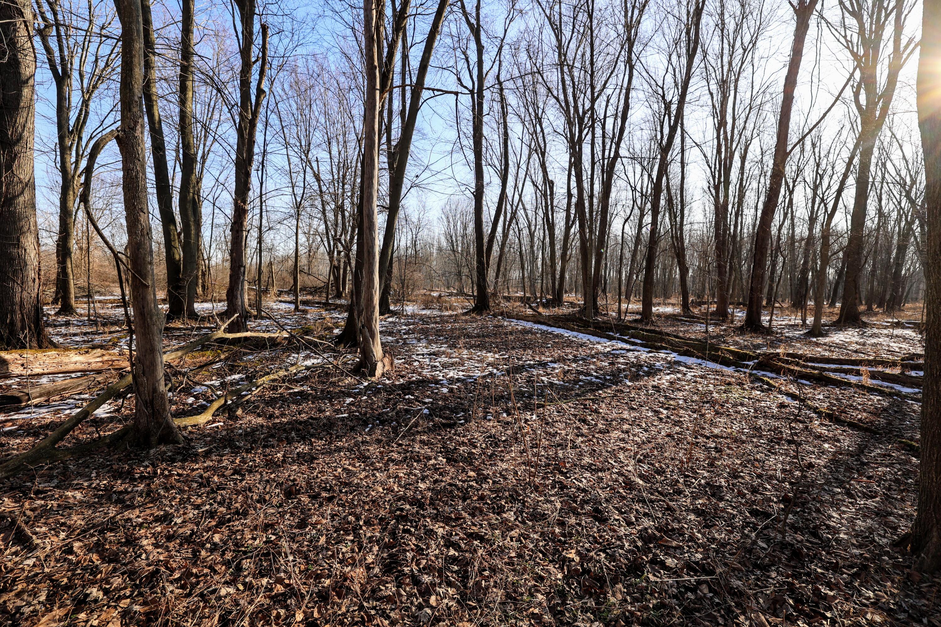 1767 Flanders Road Charlotte, MI 48813 - Photo 36 of 82 38