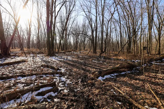 $899,000 | 1767 Flanders Road, Charlotte, MI 48813