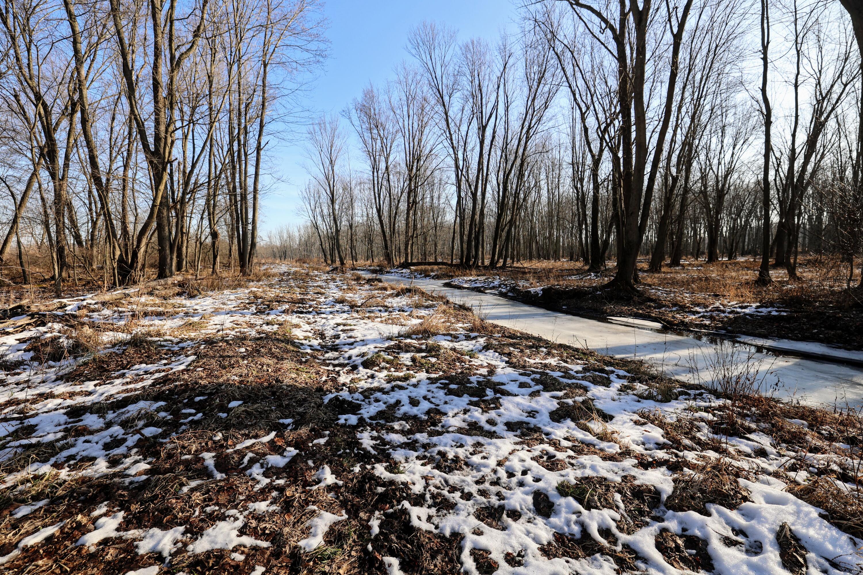 1767 Flanders Road Charlotte, MI 48813 - Photo 38 of 82 40