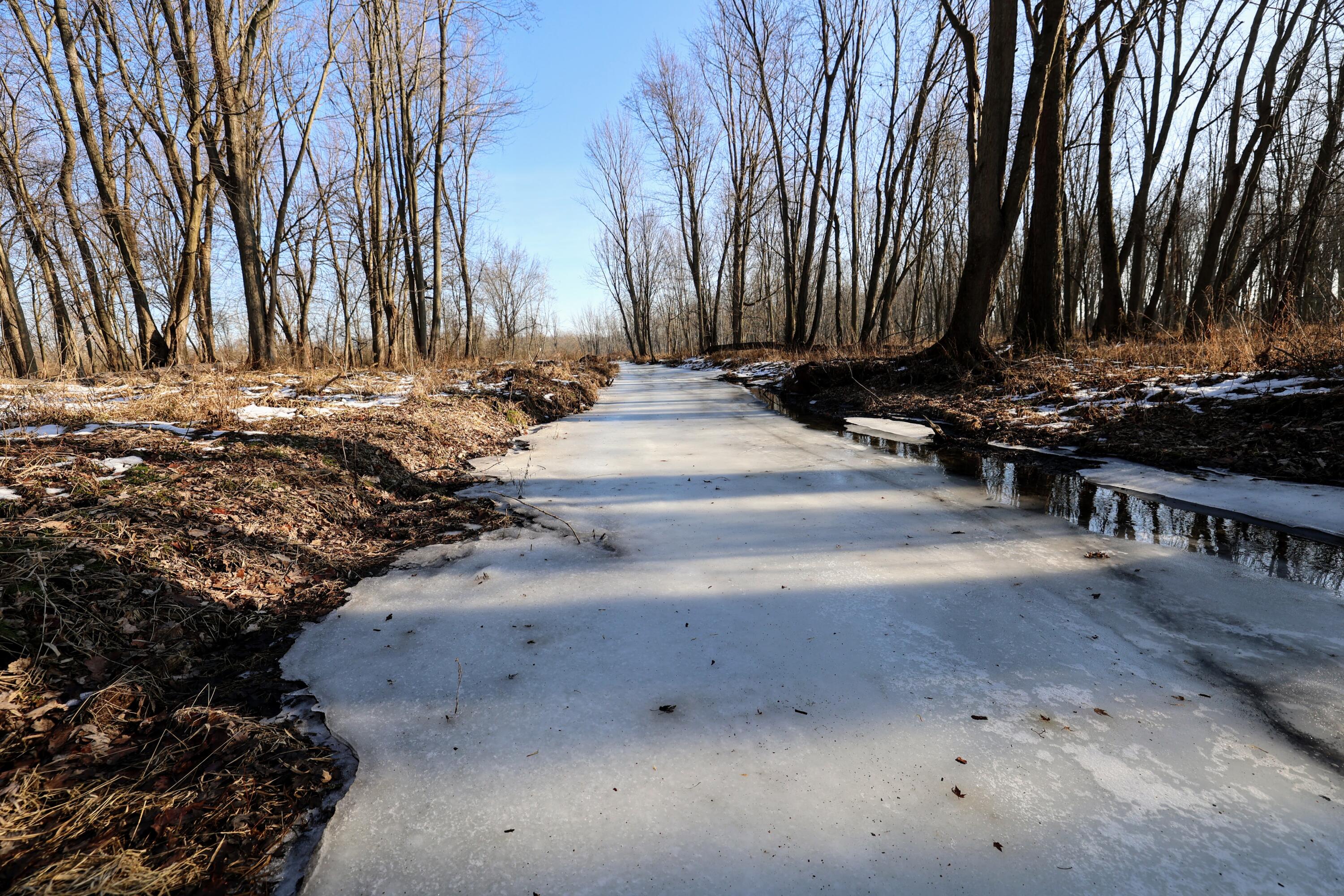 1767 Flanders Road Charlotte, MI 48813 - Photo 39 of 82 41