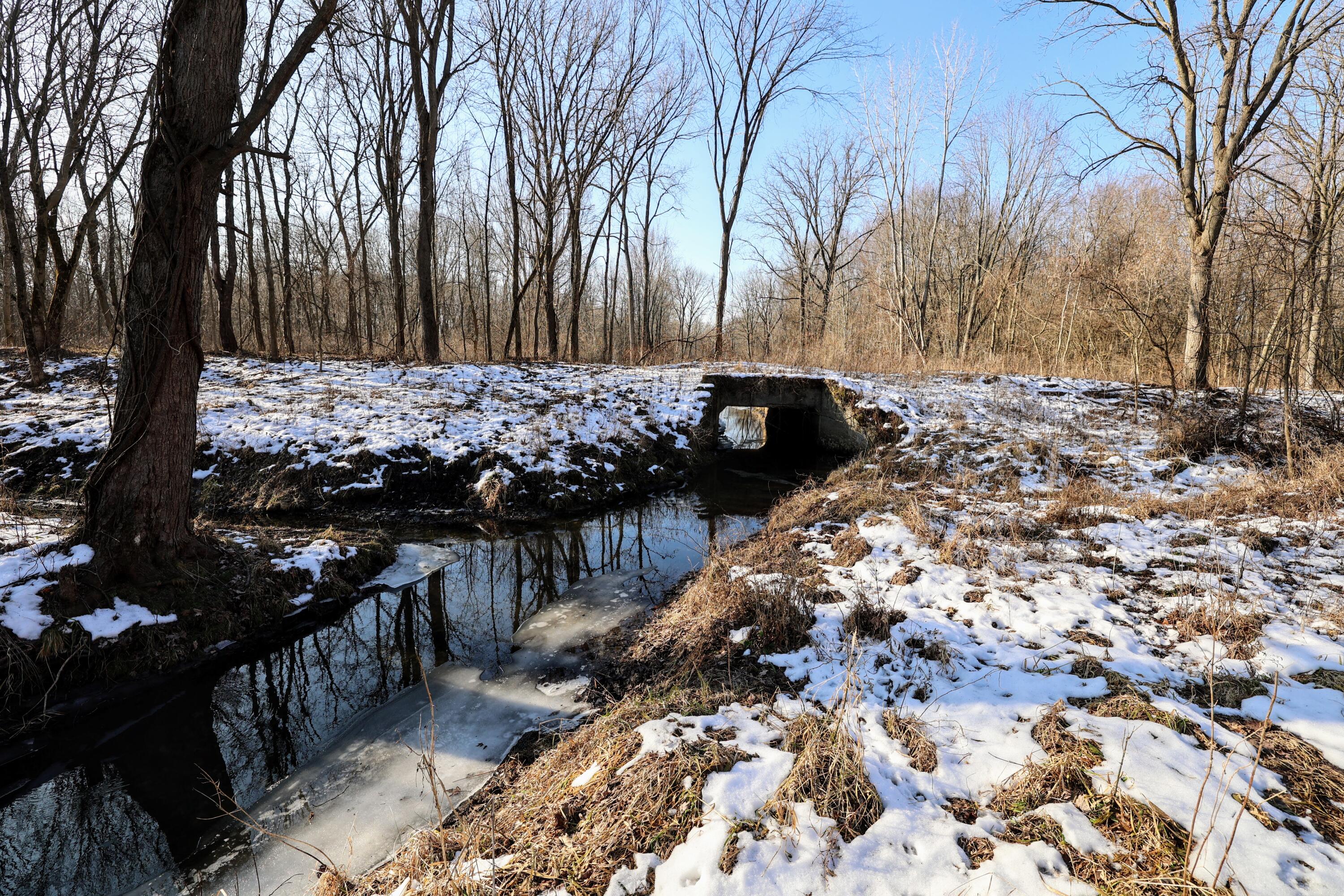 1767 Flanders Road Charlotte, MI 48813 - Photo 40 of 82 42