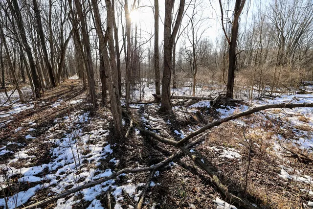 $899,000 | 1767 Flanders Road, Charlotte, MI 48813