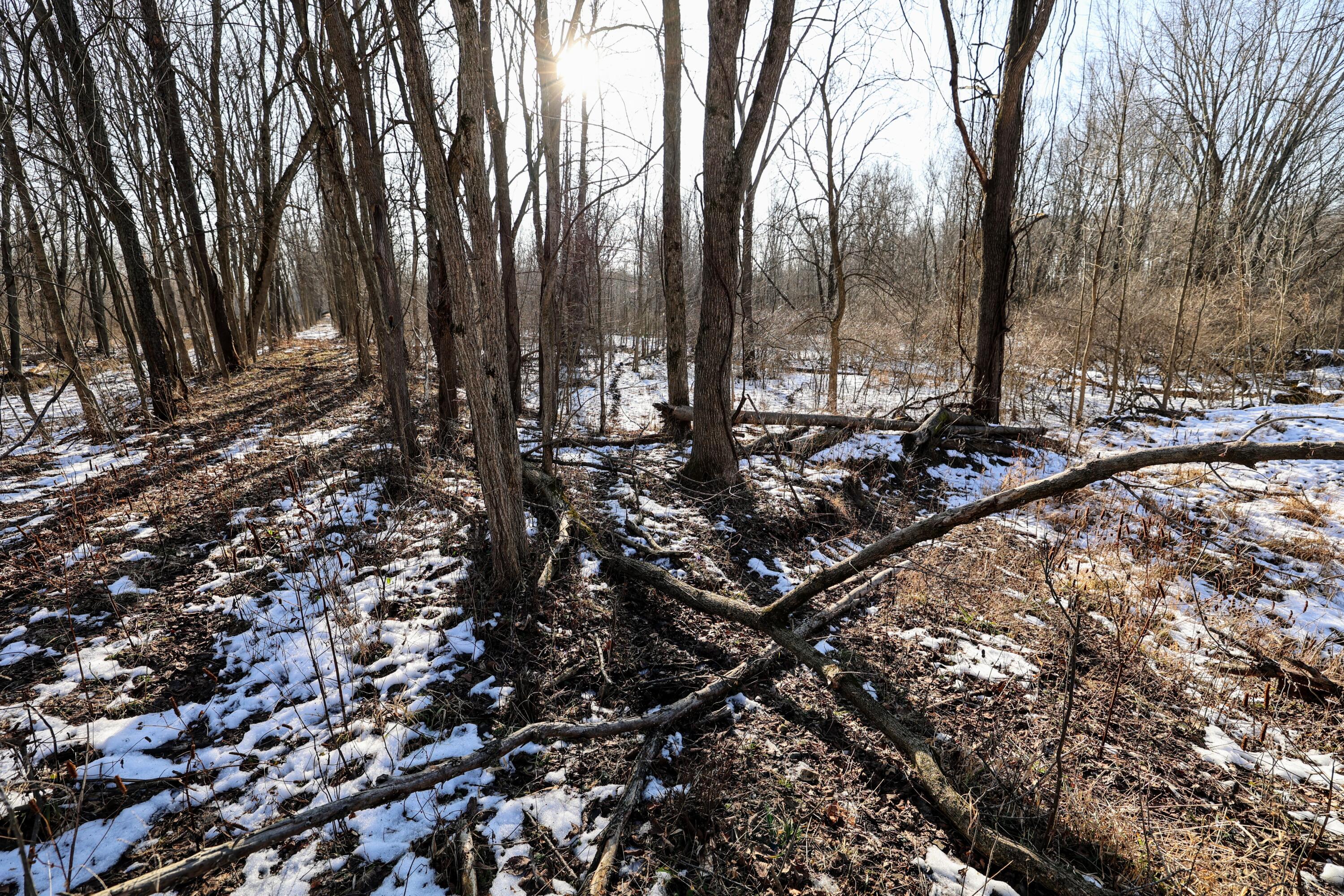 1767 Flanders Road Charlotte, MI 48813 - Photo 41 of 82 43