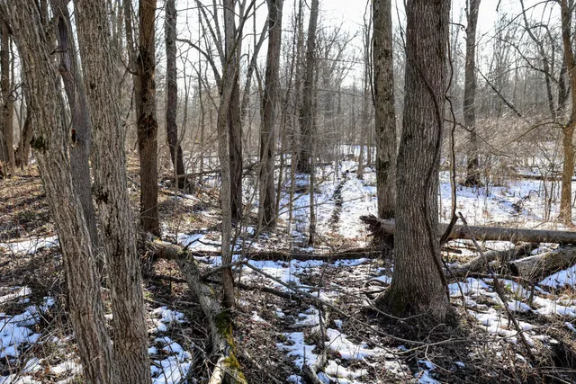 $899,000 | 1767 Flanders Road, Charlotte, MI 48813