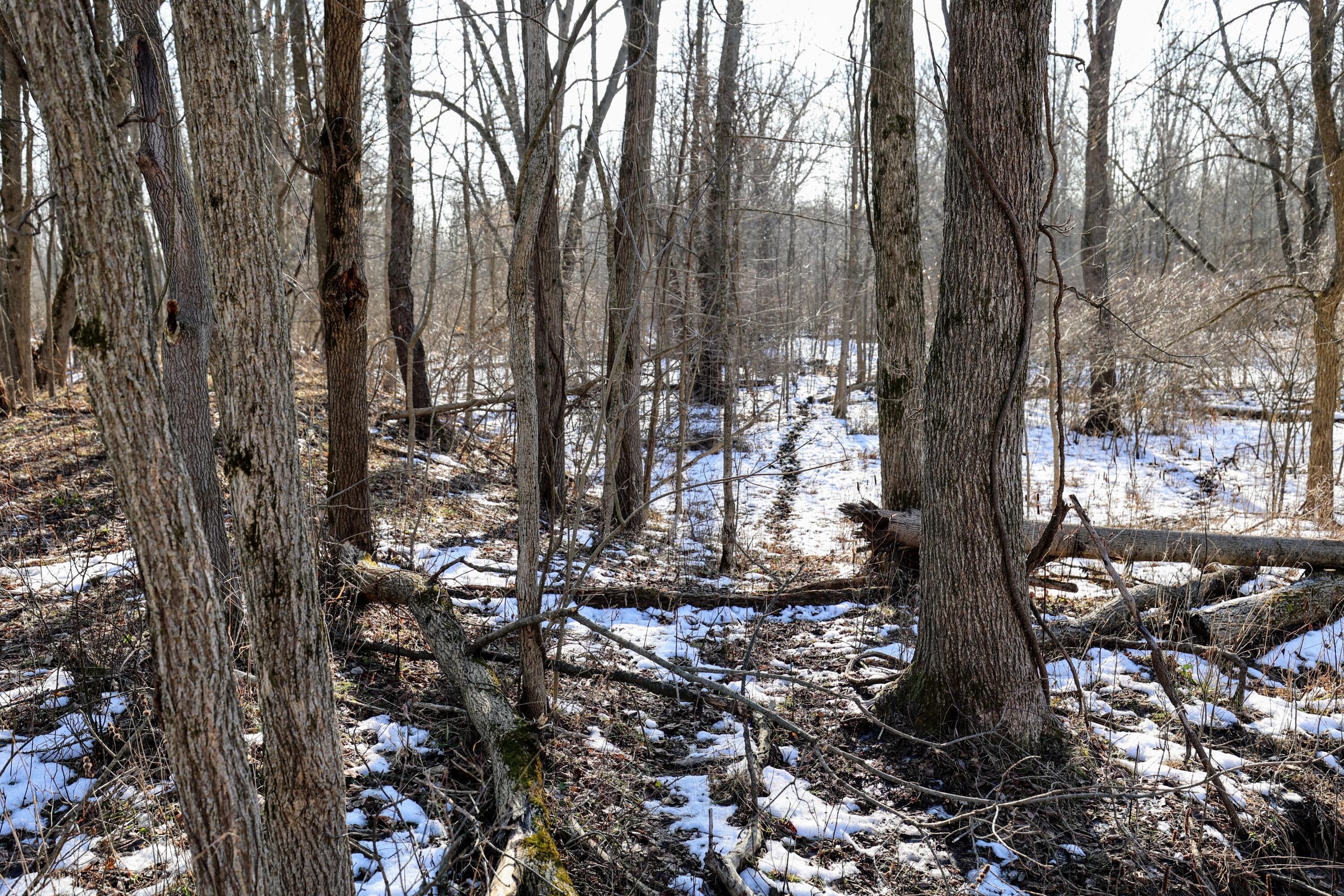 1767 Flanders Road Charlotte, MI 48813 - Photo 42 of 82 44