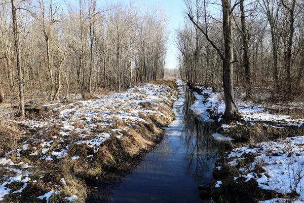 $899,000 | 1767 Flanders Road, Charlotte, MI 48813