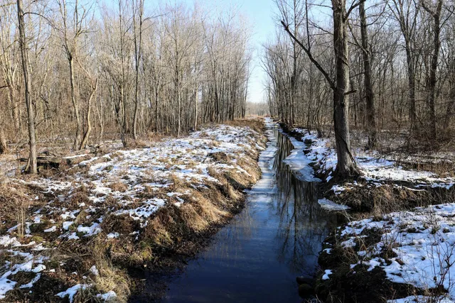 $899,000 | 1767 Flanders Road, Charlotte, MI 48813