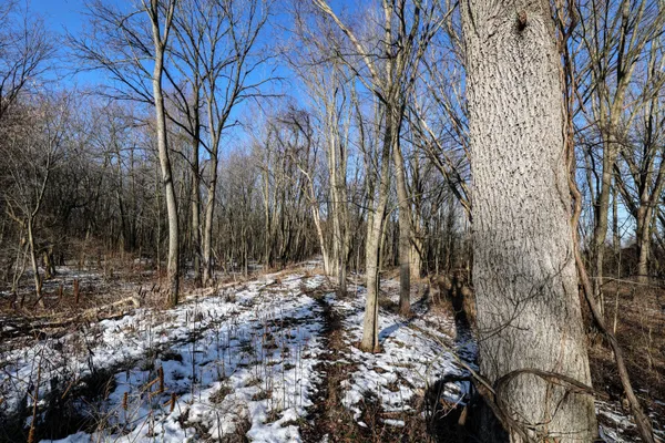 $899,000 | 1767 Flanders Road, Charlotte, MI 48813