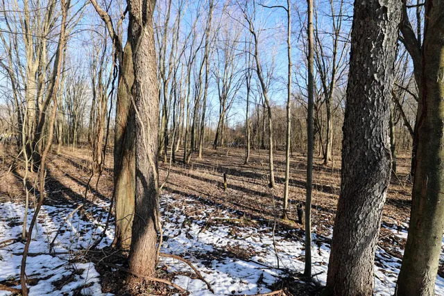 $899,000 | 1767 Flanders Road, Charlotte, MI 48813