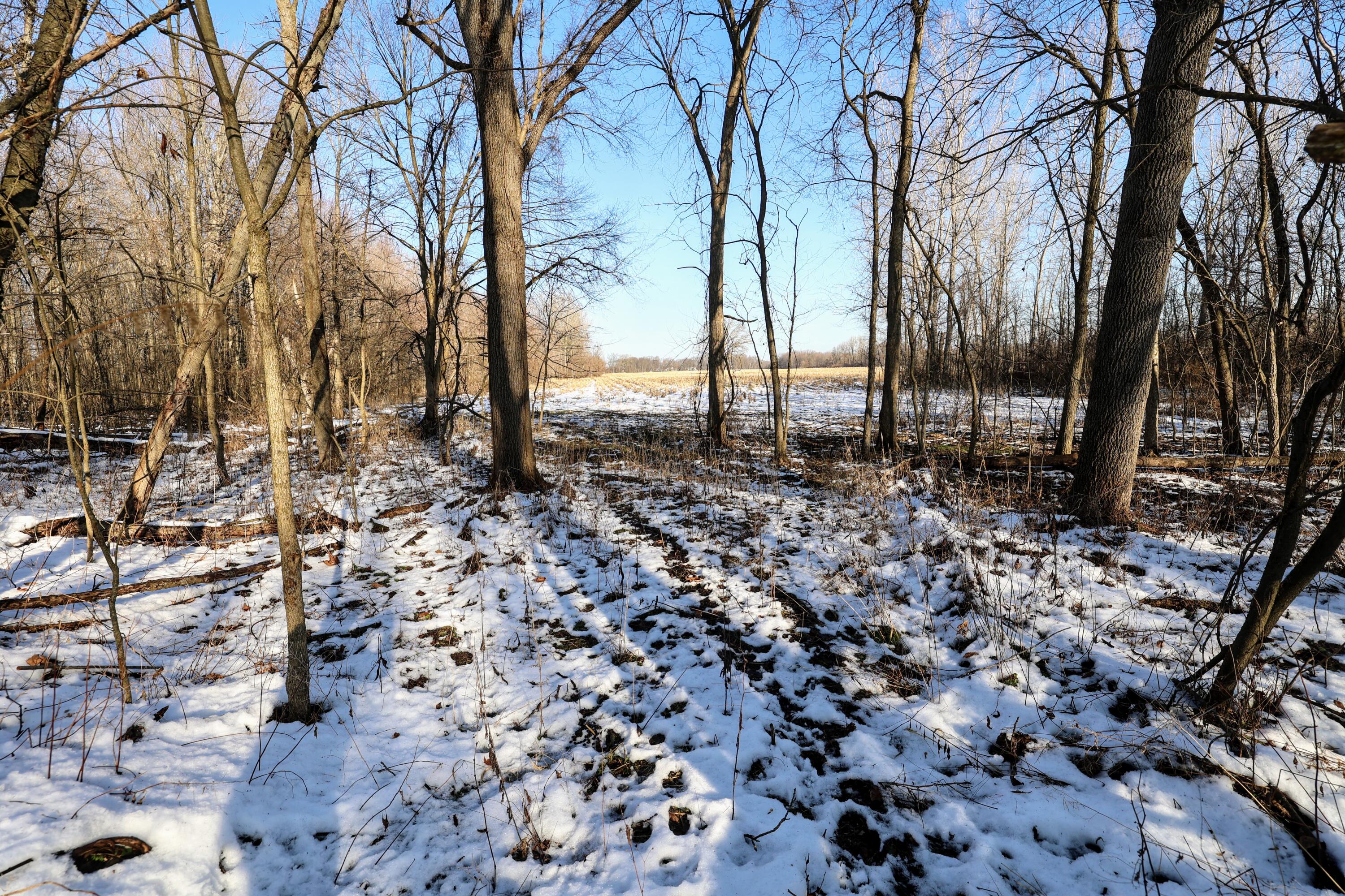 1767 Flanders Road Charlotte, MI 48813 - Photo 46 of 82 48