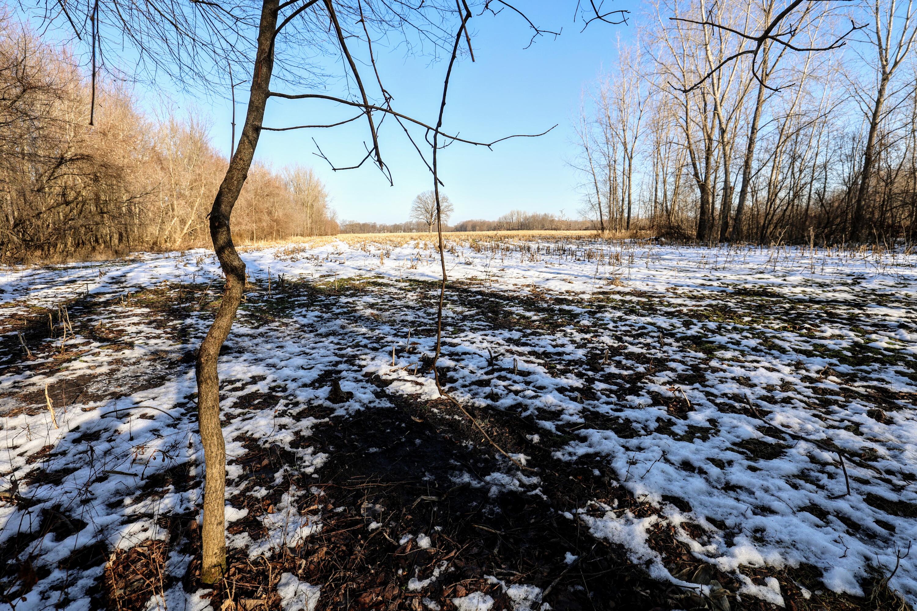 1767 Flanders Road Charlotte, MI 48813 - Photo 47 of 82 49