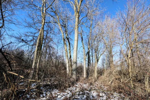 $899,000 | 1767 Flanders Road, Charlotte, MI 48813