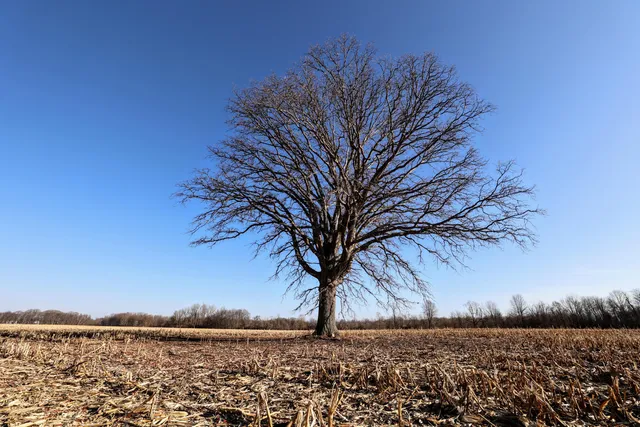 $899,000 | 1767 Flanders Road, Charlotte, MI 48813