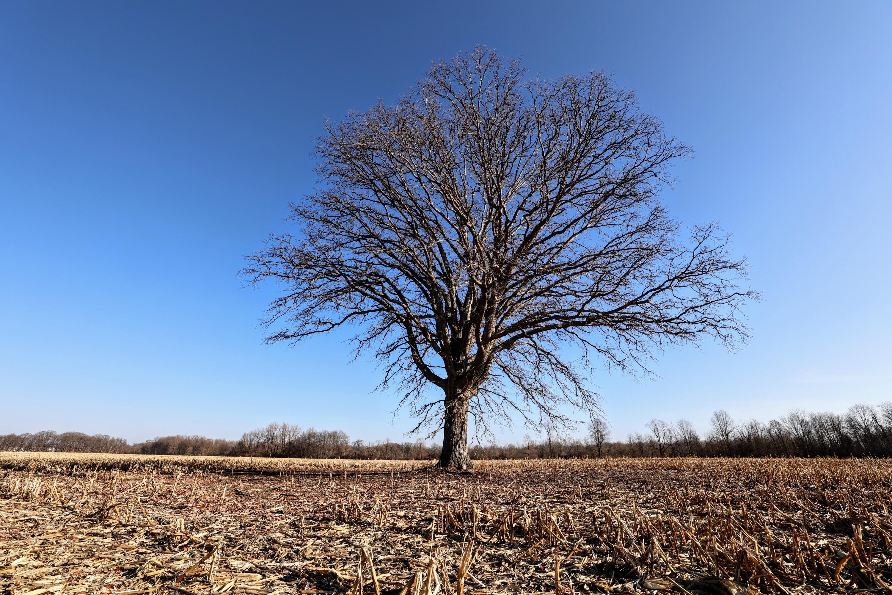 1767 Flanders Road Charlotte, MI 48813 - Photo 8 of 82 8