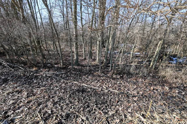 $899,000 | 1767 Flanders Road, Charlotte, MI 48813