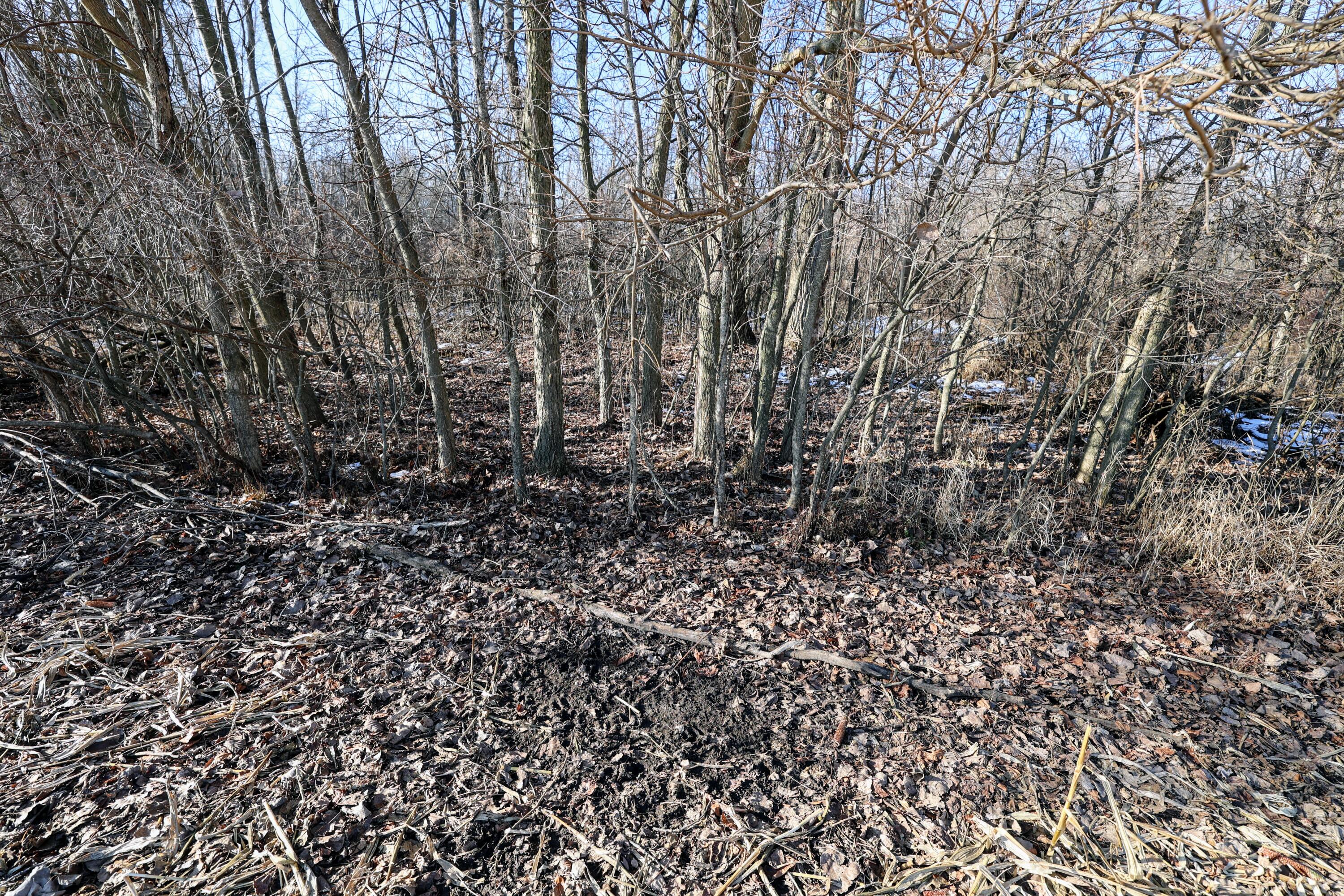 1767 Flanders Road Charlotte, MI 48813 - Photo 81 of 82 85