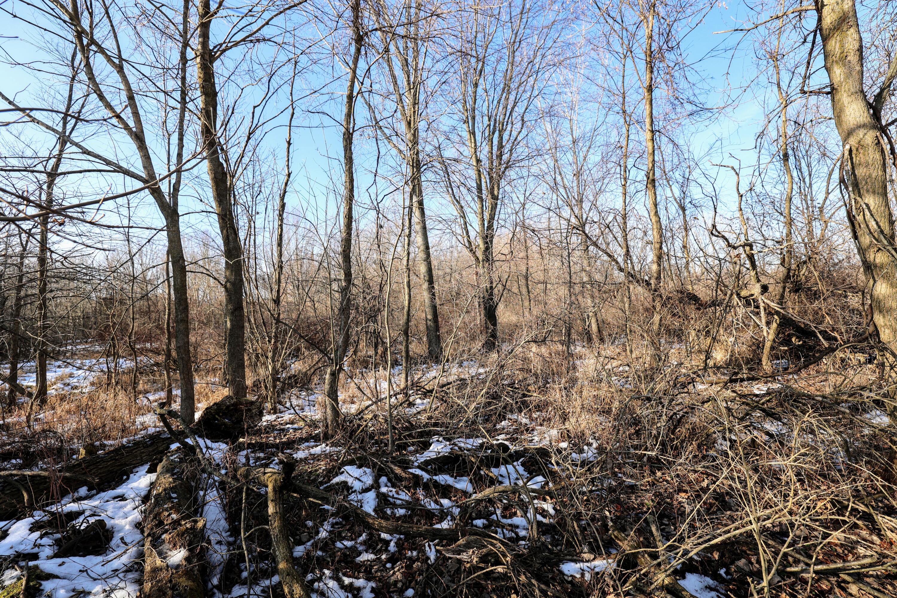 1767 Flanders Road Charlotte, MI 48813 - Photo 82 of 82 86