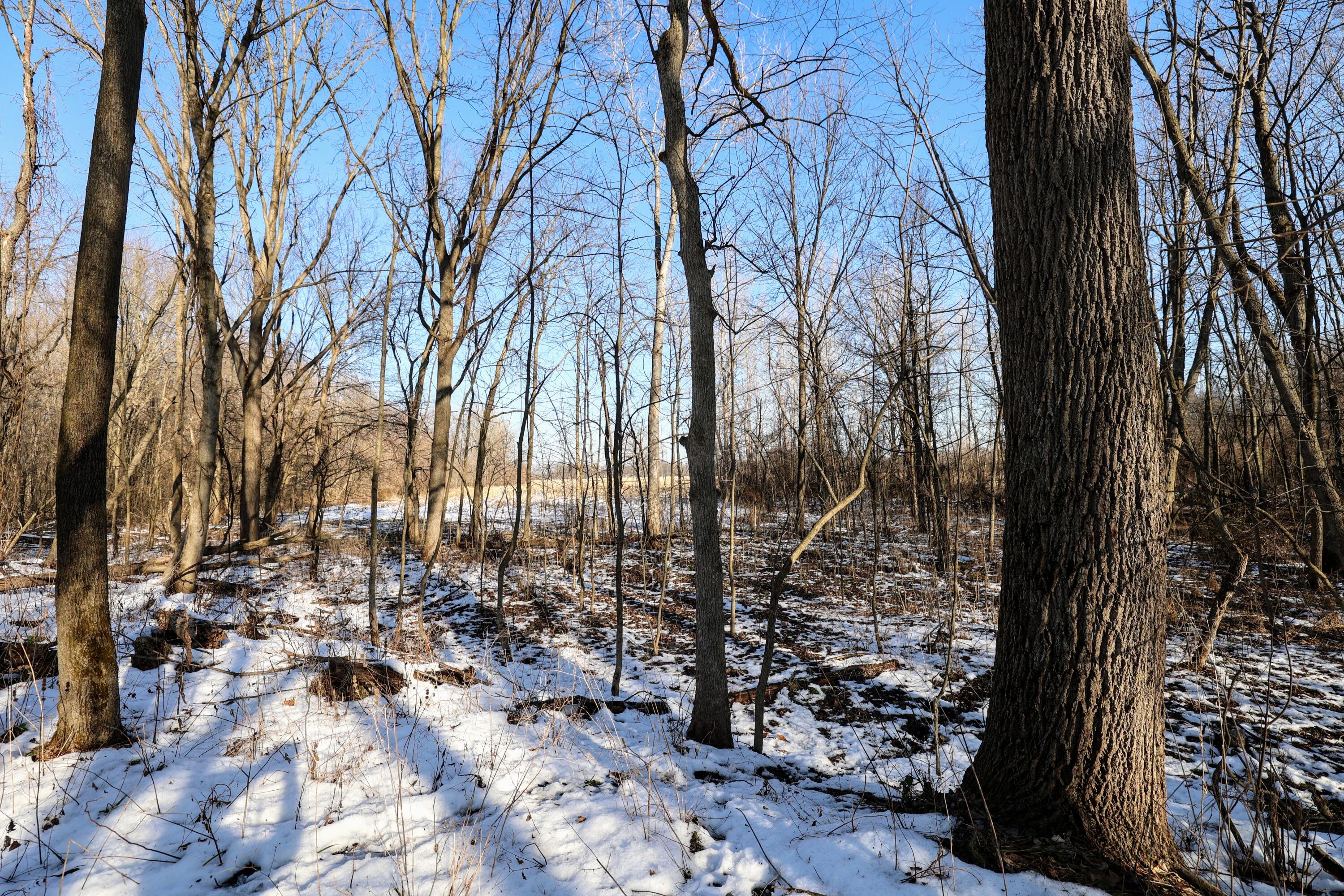 1767 Flanders Road Charlotte, MI 48813 - Photo 9 of 82 9