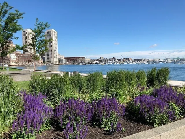a view of a garden with a building in the background