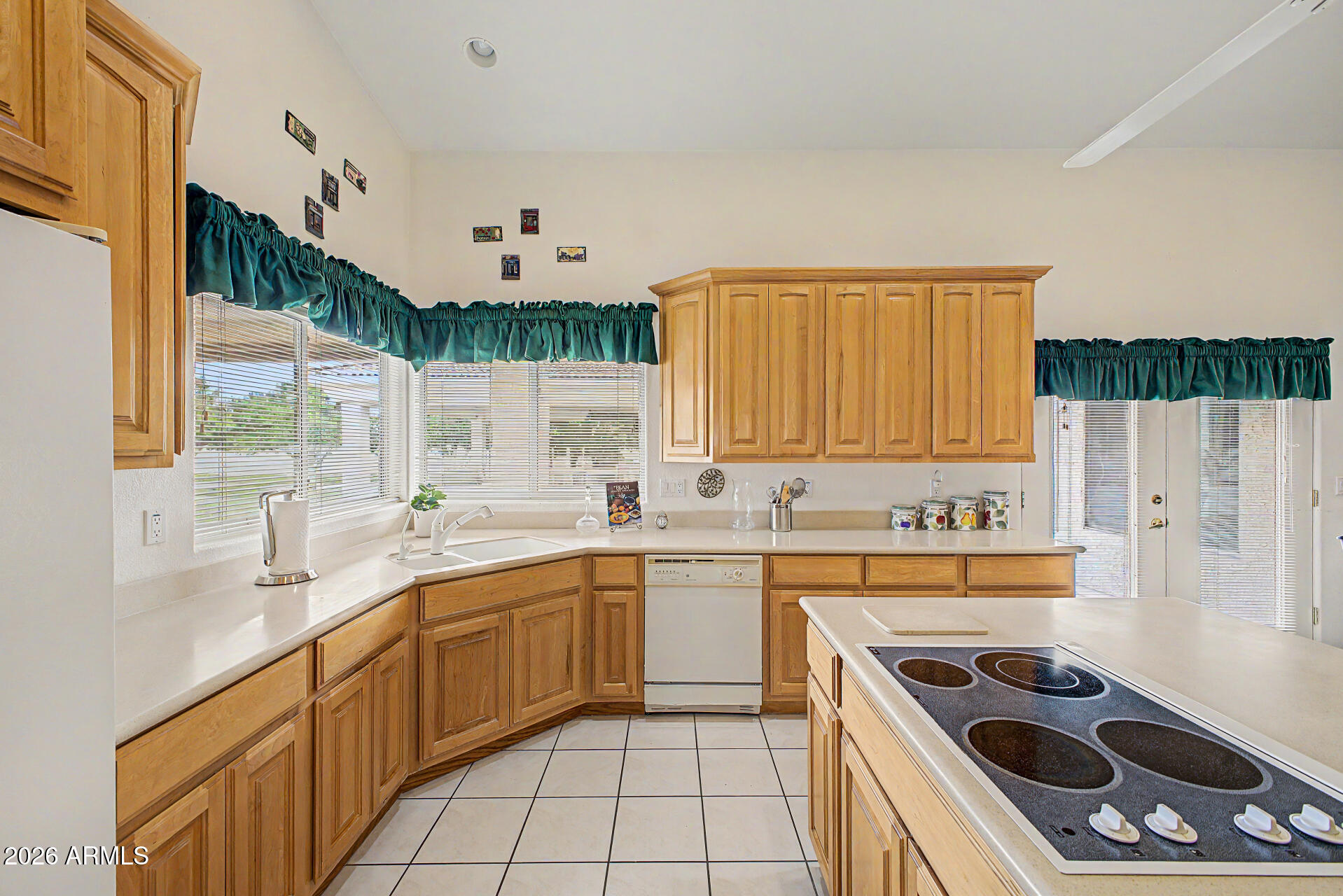 2266 North Lemon Mesa, AZ 85215 - Photo 24 of 62 24 - Lemon 2266