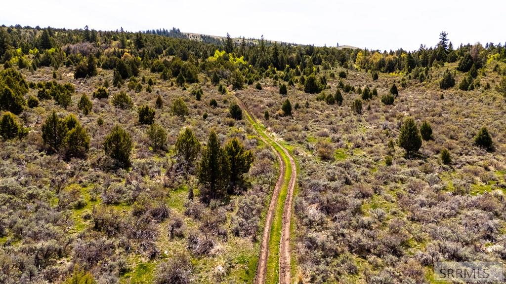 Tbd Fish Creek Road Lava Hot Springs, ID 83246 - Photo 10 of 22