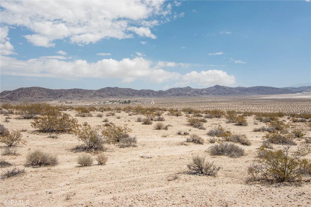 1234 Sunever Road Joshua Tree, CA 92252 - Photo 16 of 17 a view of an outdoor space