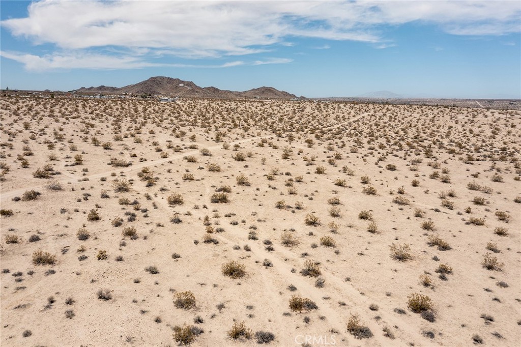 1234 Sunever Road Joshua Tree, CA 92252 - Photo 6 of 17 a view of a yard